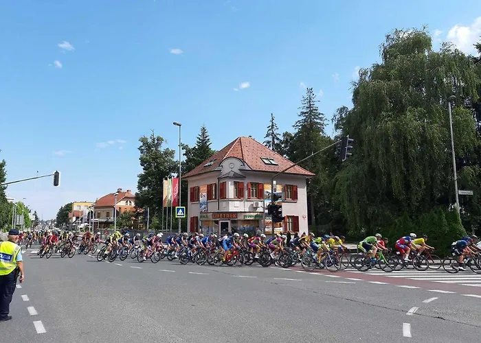 Triglav House 別荘 *